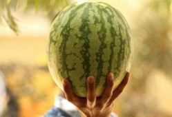 最近大瓜事件,揭秘明星隐私风波背后的真相